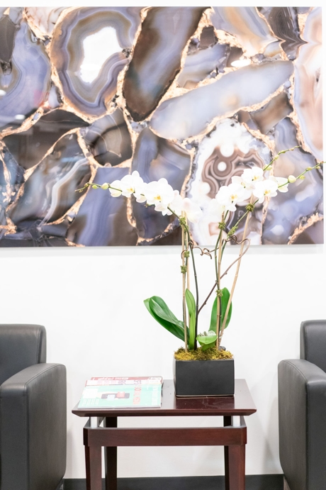 A waiting room setting, featuring a plant on a coffee table in between two armchairs. 